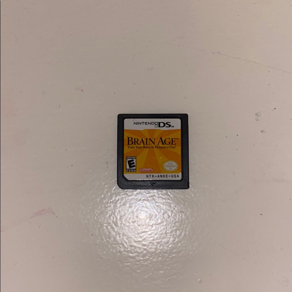 Nintendo DS- Brain Age game